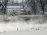 An Evaporation Fog Rises over the Platte River in Winter in Northern Colorado Fotografie-Druck von Jon Van de Grift