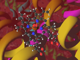 Oxygen Molecule Attached to the Iron Ion of a Heme Molecule Fotografisk tryk af Carol & Mike Werner Oxygen Molecule Attached to the Iron Ion of a Heme Molecule Fotografisk tryk af Carol & Mike Werner
