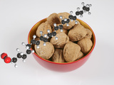 Bowl with Walnuts with a Molecular Model of an Omega-3 Fatty Acid Fotografisk tryk af Carol & Mike Werner