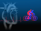 Biomedical Illustration of Exercise (Bicycling), an Ekg, and a Healthy Heart Section Photographic Print by Carol & Mike Werner
