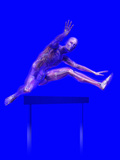 Biomedical Illustration of a Man Jumping over a Hurdle, Showing Musculature and Skeleton Photographic Print by Carol & Mike Werner