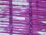 Radial Section of Ginkgo Biloba Wood, LM X17 Photographic Print by  Biodisc