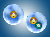 Hydrogen and the Isotope Deuterium Photographic Print by Carol & Mike Werner