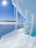 Melting Arctic Ocean Ice in Spring Photographic Print by Louise Murray