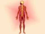 Artist Concept of Diseases of the Nervous System That Cause Pain in the Human Body Photographic Print by Carol & Mike Werner