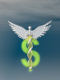 Caduceus Entwined with a Dollar Sign, Concept of the High Cost of Medical Care Photographic Print by Carol & Mike Werner