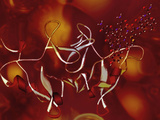 Oxytocin (Ball-And-Stick) Bound to its Carrier Protein Neurophysin (Ribbons) Fotografie-Druck von Carol & Mike Werner