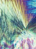 Polarized View of Adenosine Triphosphate or Atp, LM X100 Photographic Print by Arthur Siegelman