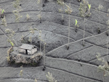 Agricultural Fields and Building Coated in Volcanic Ash from the Eruption of Bromo Volcano Photographic Print by Richard Roscoe