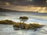 Sunbeams Through Storm Clouds with Seaweeds Washed Ashore on the Sandy Beach Near San Diego Photographic Print by Patrick Smith