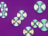 Polarized View of Adenosine Triphosphate (Atp), LM X50 Photographic Print by Arthur Siegelman