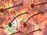 Biomedical Illustration of Neurons Photographic Print by Carol & Mike Werner