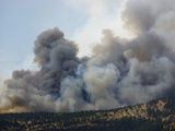 Heavy Smoke from a Wildfire Burning in the Rocky Mountains of Colorado, USA Fotografie-Druck von Jon Van de Grift