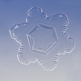 Snowflake, LM Photographic Print by Solvin Zankl
