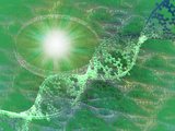 Biomedical Illustration of a Biofuel Photographic Print by Carol & Mike Werner
