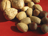Walnuts, Hazelnuts, and Almonds Recent Studies Indicate That Eating Handful of Nuts Day Photographic Print by Carol & Mike Werner