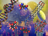 Illustration of the Building Block Molecules of Cells Fotografisk tryk af Carol & Mike Werner Illustration of the Building Block Molecules of Cells Fotografisk tryk af Carol & Mike Werner