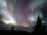 Aurora Borealis, Northern Lights, Alaska Range Mountains, Alaska, USA, North America Photographic Print by Tom Walker