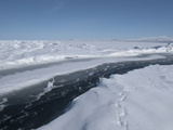 Crack in the Sea Ice About 2 Meters Wide Photographic Print by Louise Murray