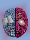 Illustration Showing the Attributes of Left and Right Brain Activity in Humans Photographie par Carol & Mike Werner