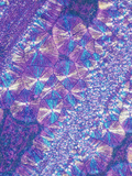 Aspirin Crystals Viewed with Polarized Light, LM Photographic Print by Arthur Siegelman