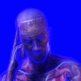 Biomedical Illustration of a Man with a Headache or Thinking Showing Muscles and Bones Photographic Print by Carol & Mike Werner