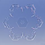 Snowflake, LM Photographic Print by Solvin Zankl