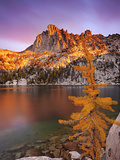 Prusik Peak and Subalpine Larch at Peak Fall Color at Lake Viviane Photographic Print by Geoffrey Schmid