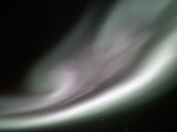 Aurora Borealis or Northern Lights, Alaska, USA Photographic Print by Tom Walker