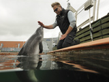 Harbor Porpoise (Phocoena Phocoena) Research Training, Fjord and Baelt, Denmark Photographic Print by Solvin Zankl