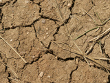 Mud Cracks in Soil During a Drought, Colorado, USA Photographic Print by Jon Van de Grift