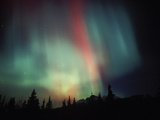 Aurora Borealis, Alaska, USA Photographic Print by Tom Walker