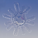 Snowflake, LM Photographic Print by Solvin Zankl
