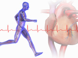 Runner, Male Likeness Showing Musculature and Skeleton Against an Ekg and Heart Photographie par Carol & Mike Werner