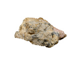 Native Lead Photographie par  Scientifica