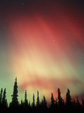 Aurora Borealis, Northern Lights, Alaska Range Mountains, Alaska, USA Photographic Print by Tom Walker