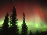 Aurora Borealis or Northern Lights, Alaska Range, Alaska, USA Photographic Print by Tom Walker