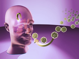 Head Cold, Virus Entering a Person's Nasal Passage, Triggering Chemical Responses Photographic Print by Craig Zuckerman