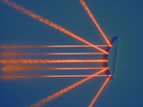 Parallel Rays of Light are Reflected by a Convex Mirror Photographic Print by  Scientifica