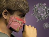 Artist's Concept of the Rhinovirus Which Causes the Common Cold Photographic Print by Carol & Miker Werner