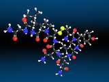 Oxytocin Molecule Photographic Print by Carol & Mike Werner