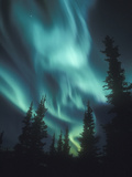 Aurora Borealis, Northern Lights, North America, Alaska, USA Photographic Print by Tom Walker