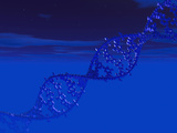DNA Molecule Photographic Print by Carol & Mike Werner