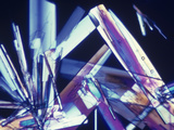 Polarized View of Fluocinonide Crystals, LM X50 Photographic Print by Arthur Siegelman