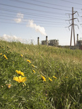 Aes Power Generating Plant in Redondo Beach Photographic Print by  GIPhotoStock