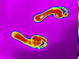 A Man's Bare Feet Were Placed Flat on a Wooden Surface for About 30 Sec Photographic Print by  GIPhotoStock