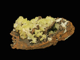 Adamite, Mapimi, Mexico, Specimen Courtesy Jmu Mineral Museum Photographic Print by  Scientifica