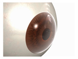 Biomedical Illustration of the Front of the Human Eye Giclee Print by  Nucleus Medical Art