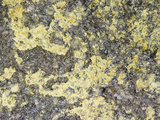 Bauxite, an Ore of Aluminum, Reynolds Mine, Arkansas, USA Photographie par  Scientifica