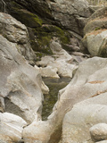 Water Erosion and Potholes in Granite Rocks, Sculptured Rocks Natural Area, New Hampshire, USA Photographic Print by  Scientifica
